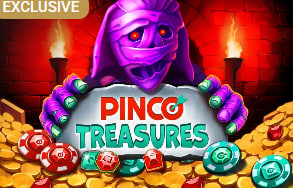 Pinco Treasures